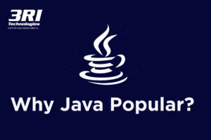 why java popular