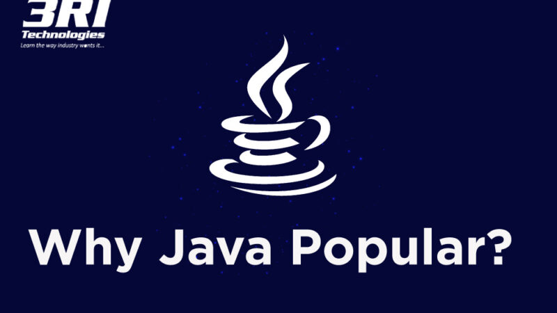 why java popular