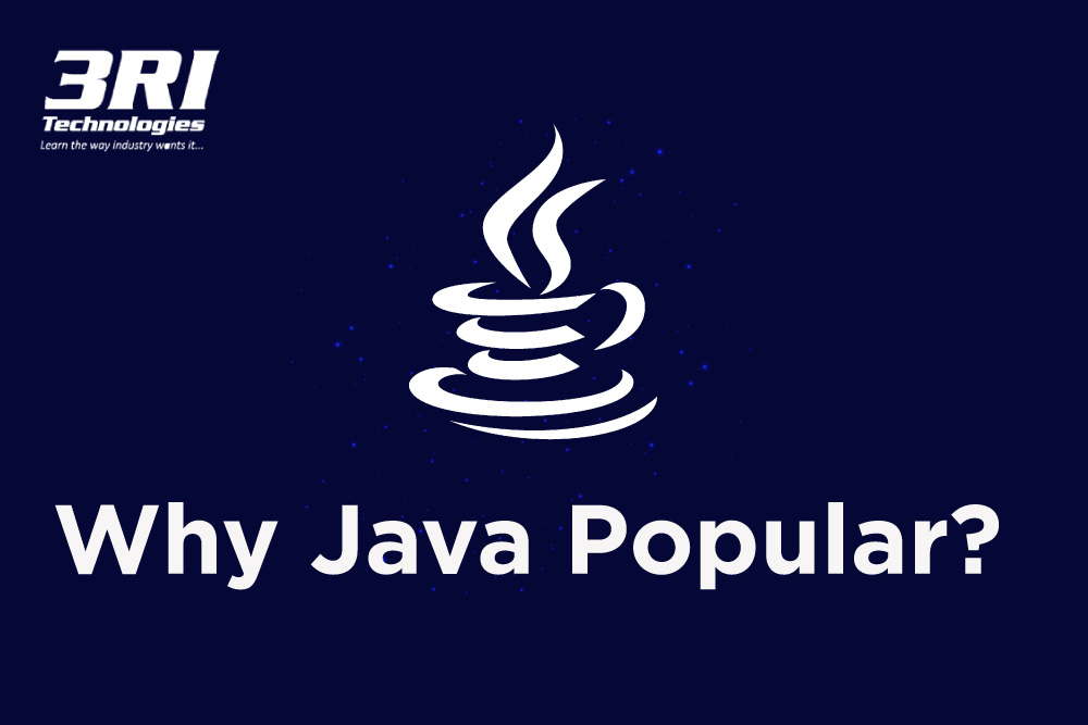 Read more about the article Why Java Is The Most Popular Programming Language?