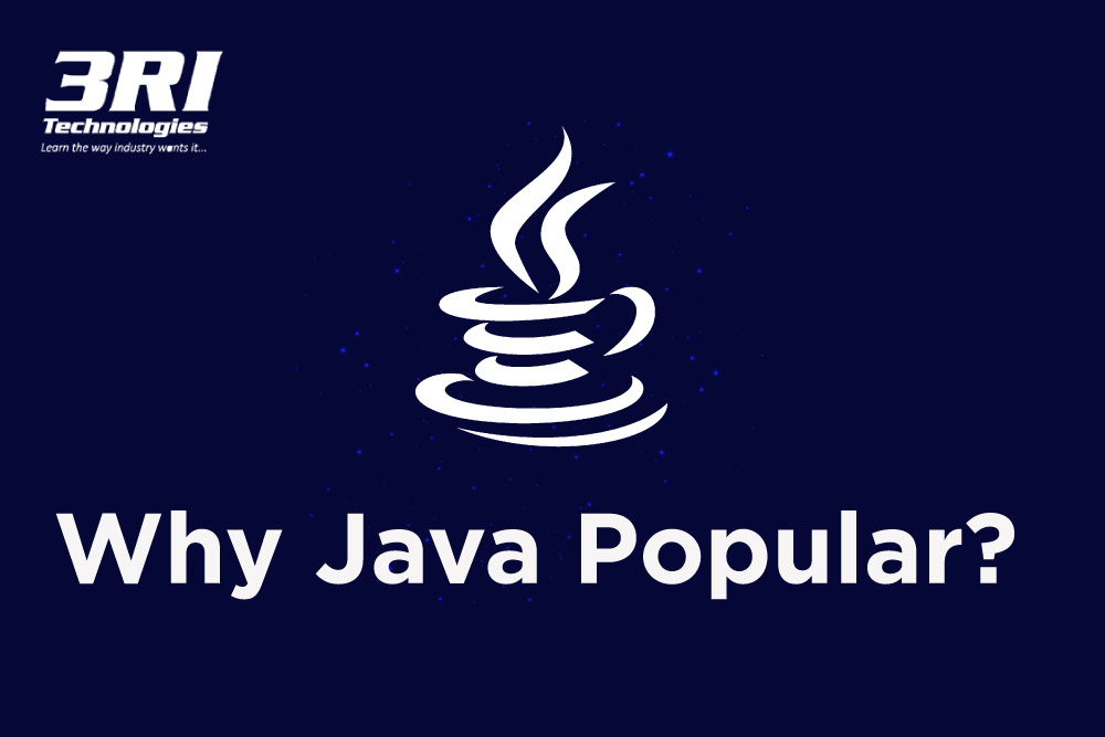 why java popular