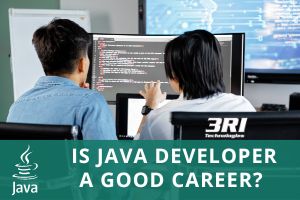 Is Java Developer a good career