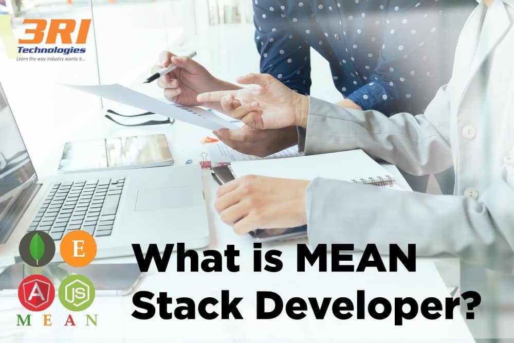 Read more about the article What is MEAN Stack Developer?