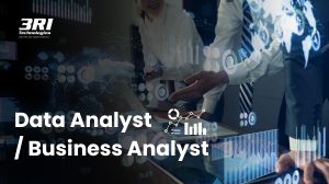 Data Analyst / Business Analyst