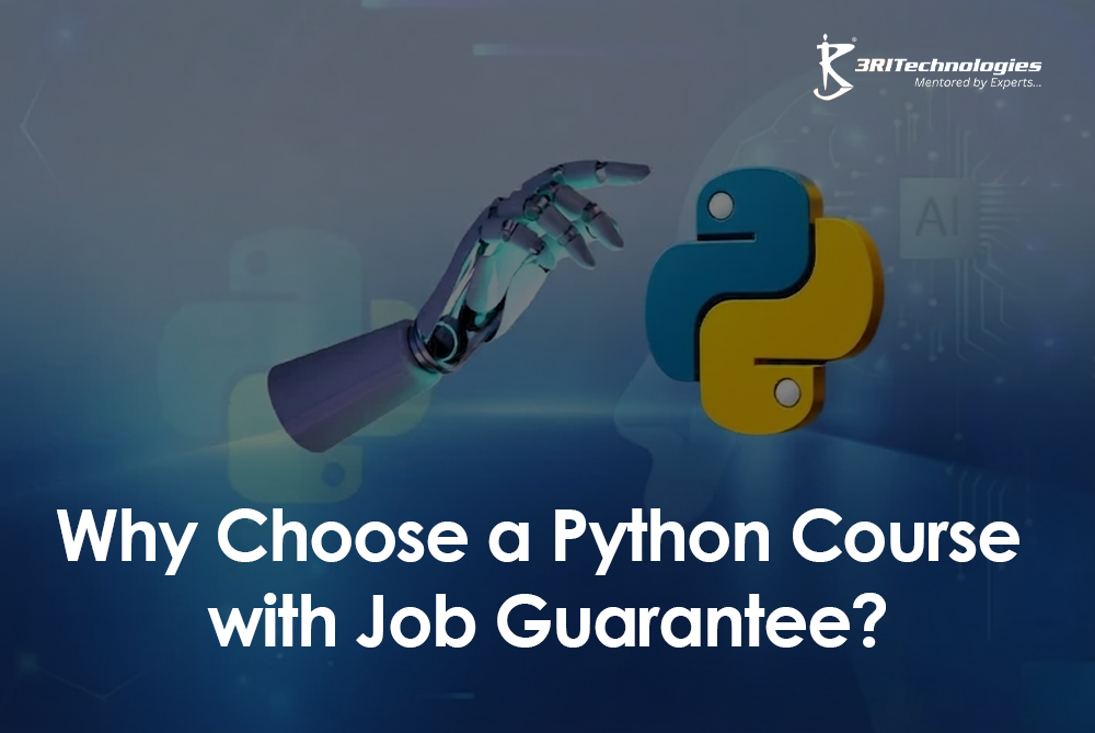 Read more about the article Why Choose a Python Course with Job Guarantee?