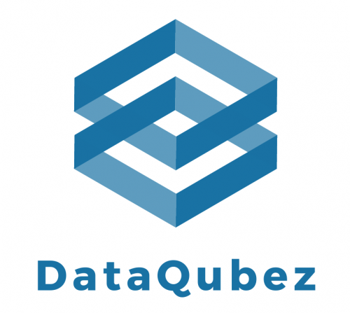 DataQubez Logo DataQubez Logo